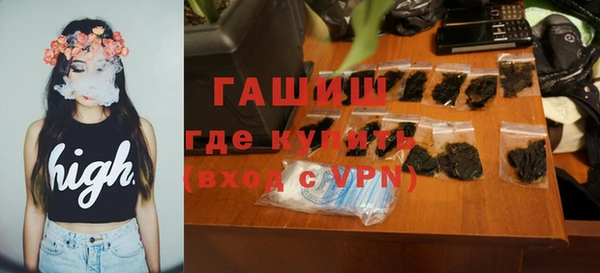 спиды Ельня
