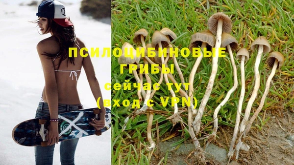 дурь Беломорск