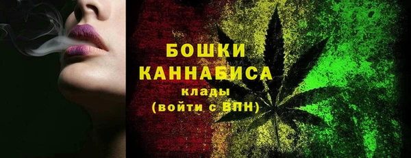 индика Белоозёрский