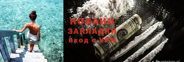 индика Белоозёрский