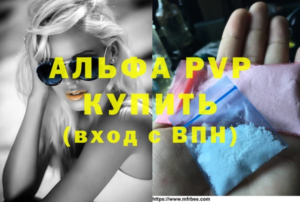 индика Белоозёрский