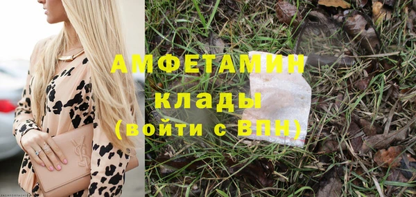 индика Белоозёрский